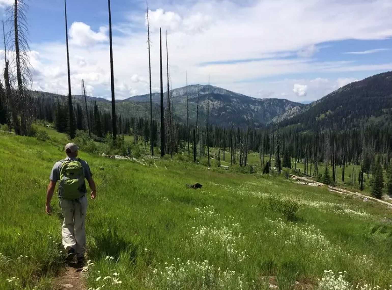 Escape to Idaho's Hidden Gem: Clear Creek Campground