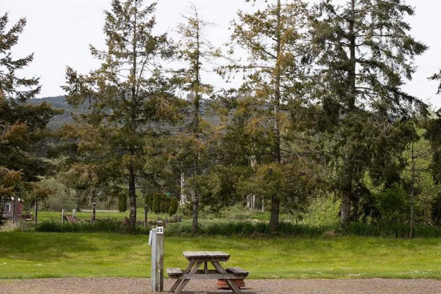 Tillamook Coast RV Park Tillamook, Oregon Campspot