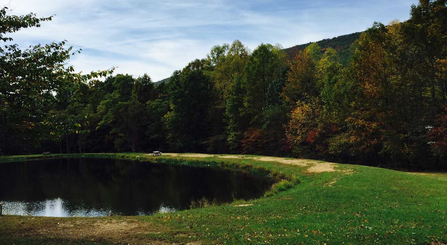 Hidden Springs Campground - Clearville, Pennsylvania - Campspot