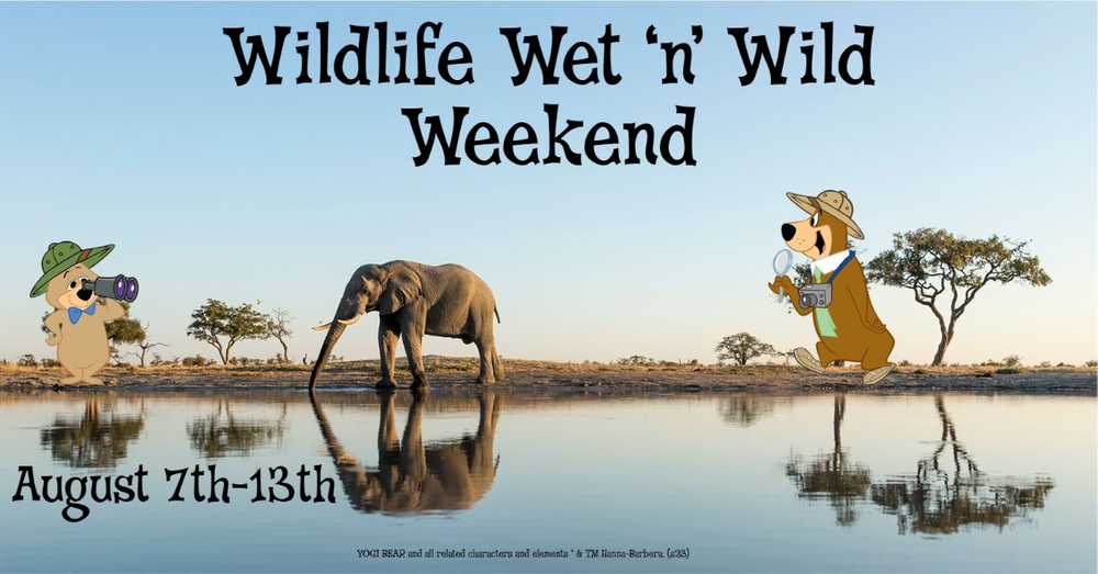 Wildlife Wet ‘n’ Wild Water Week