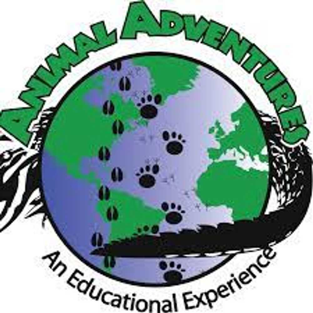 Safari Animal Adventures
