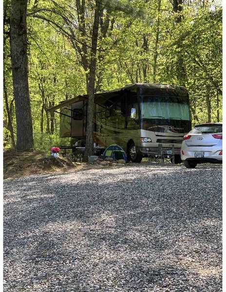Wooded RV Site