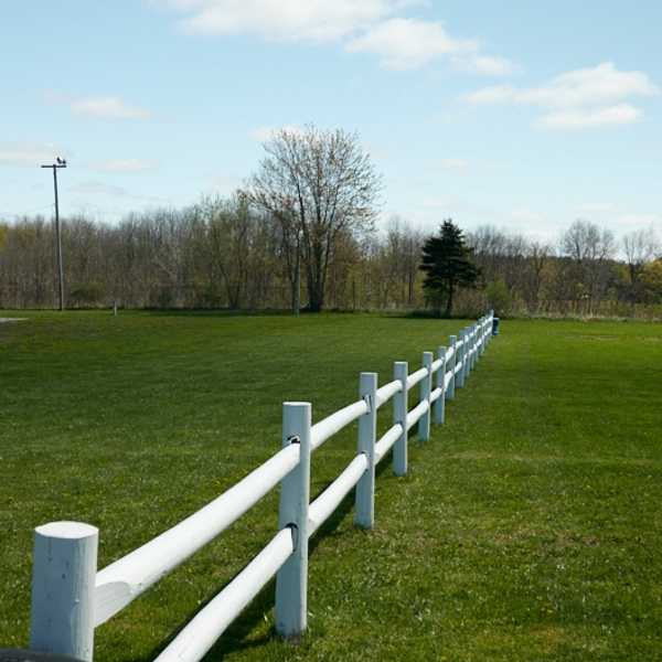 Weedsport Speedway Weedsport, New York Campspot