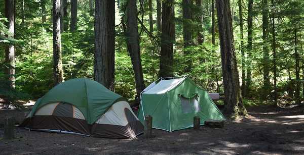 Tent Site Full Hook Up 20/30 Amp