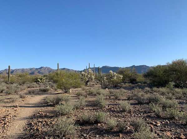 Desert Trails RV Resort (Age Restricted 40+)