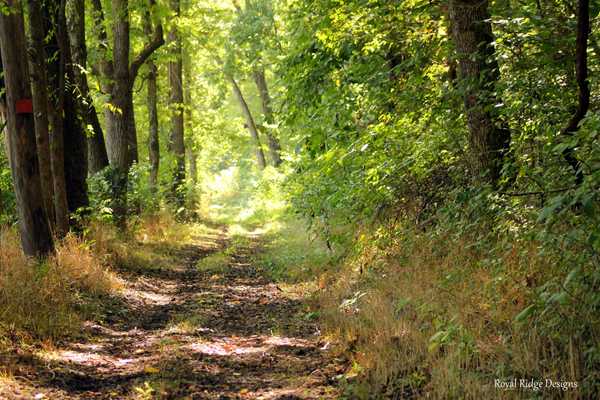 North Fork River Ranch - West Plains, Missouri - Campspot