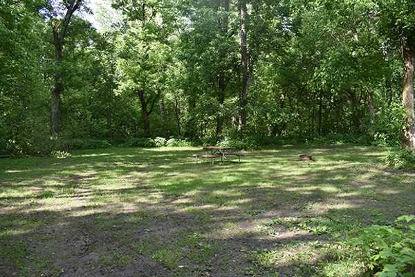 Non Electric, Grass, Wooded, Large Tent Site