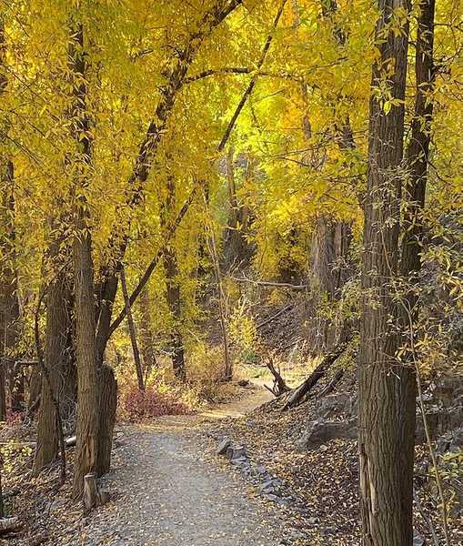 River Fork RV Park and Campground Lake City, Colorado Campspot