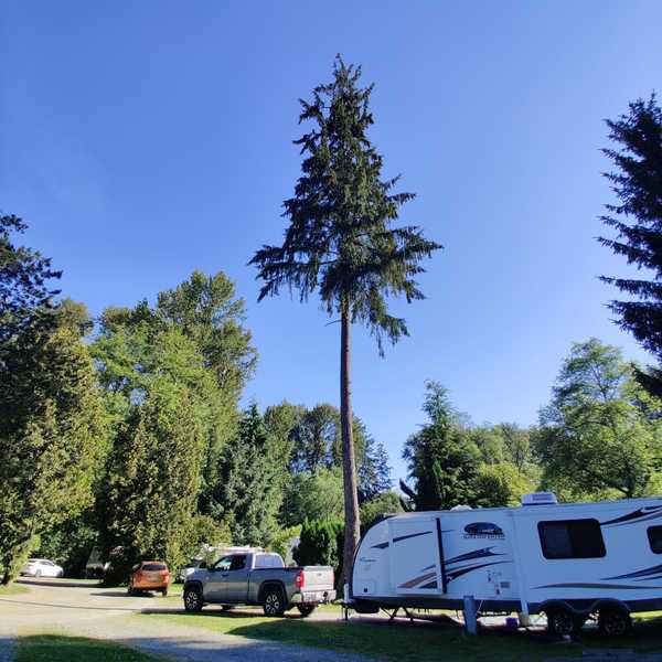 Camping Near Mission British Columbia Campspot