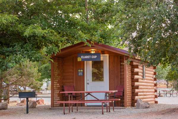 Basic Camping Cabin