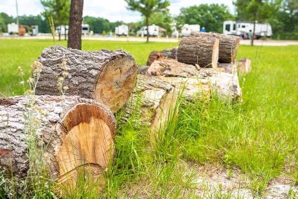 GA Coastal RV Park
