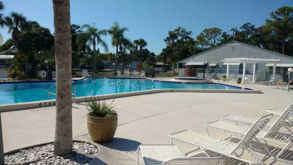 Sarasota Lakes RV Resort - Sarasota, Florida - Campspot