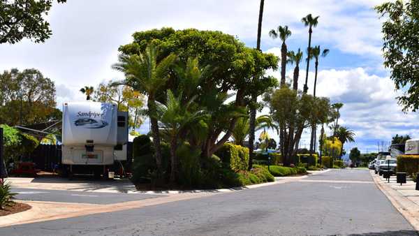 biker shorts women cute