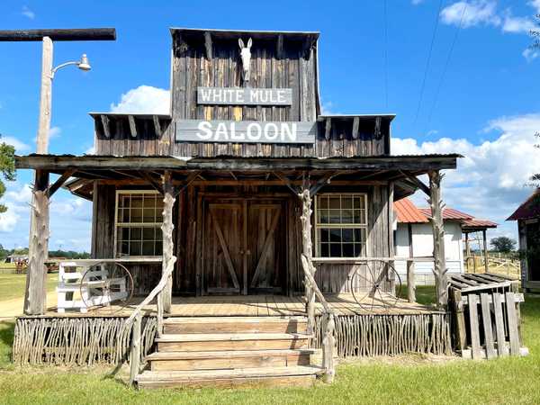 Cabin 11 "White Mule Saloon"