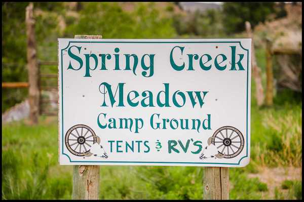 Spring Creek Meadow Group Site
