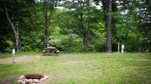 Riverfront 30 amp site with W/E — image 13 of 13