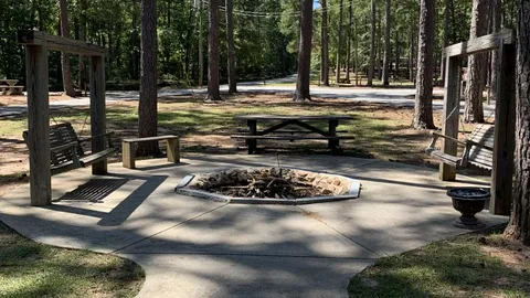 50 AMP Savannah River Interior Pull-Thru Campsite — image 2 of 6