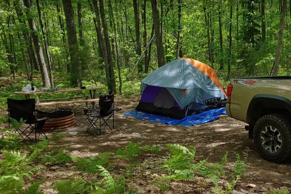 Forestville Campground – photo 1