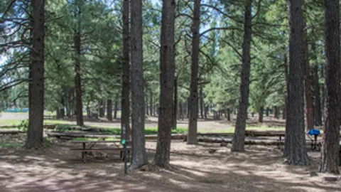 Primitive Tent Site — image 1 of 3