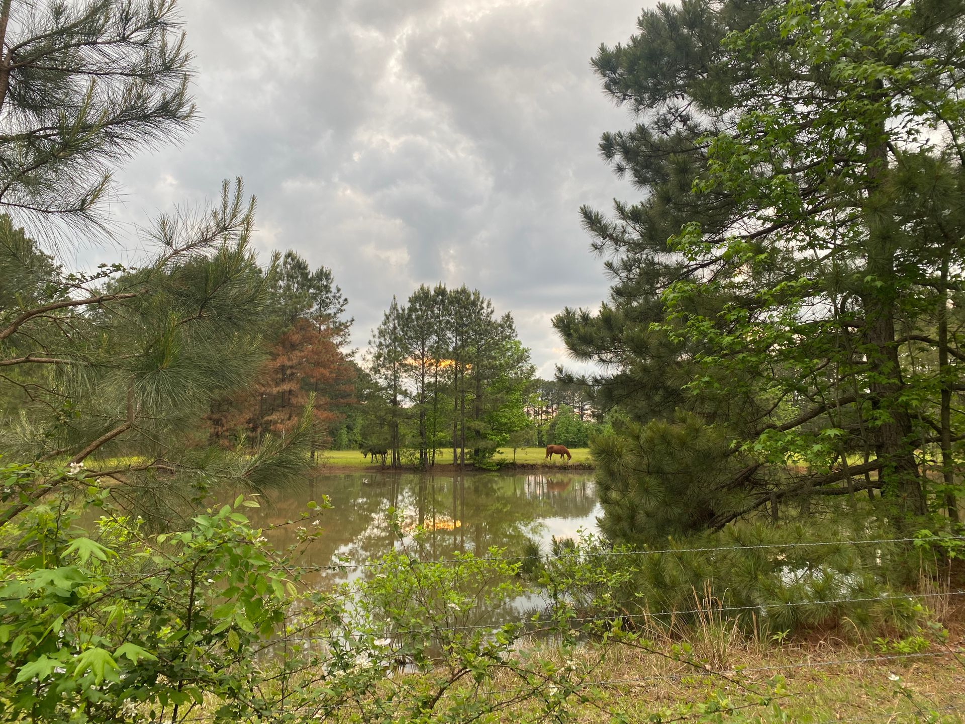Searcy RV Resort