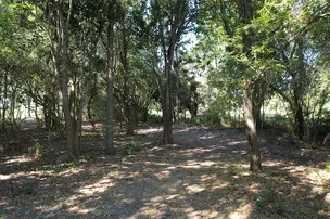 Howdy Y'all RV Resort – photo 5