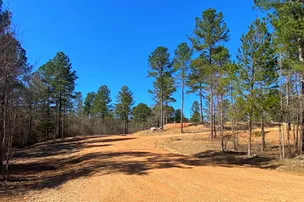 Kick it Back Cabins and RV Park – photo 4