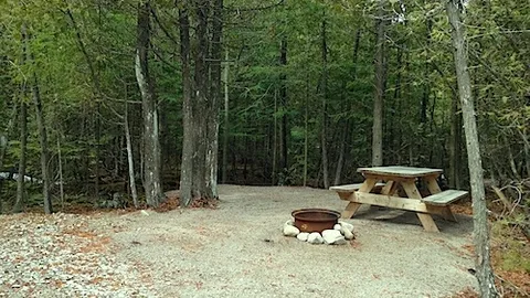 Basic — image 6 of 6