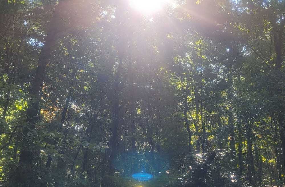 Park Image 6