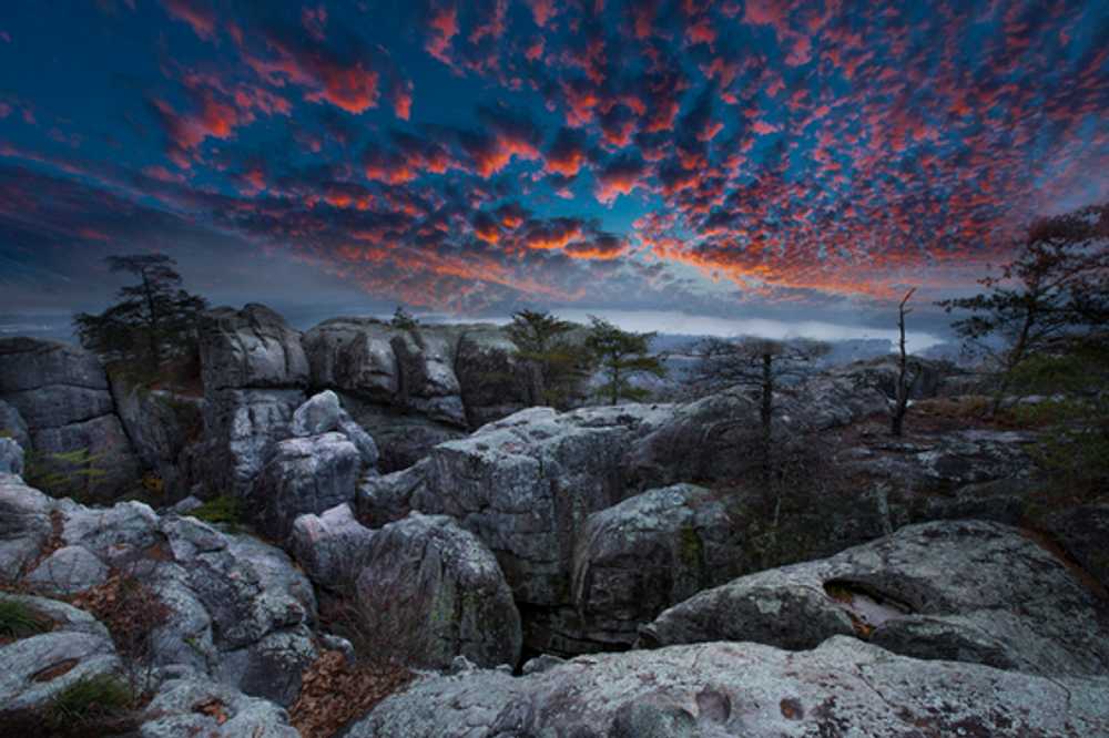 Cherokee Rock Village - Leesburg, AL - Photo 4