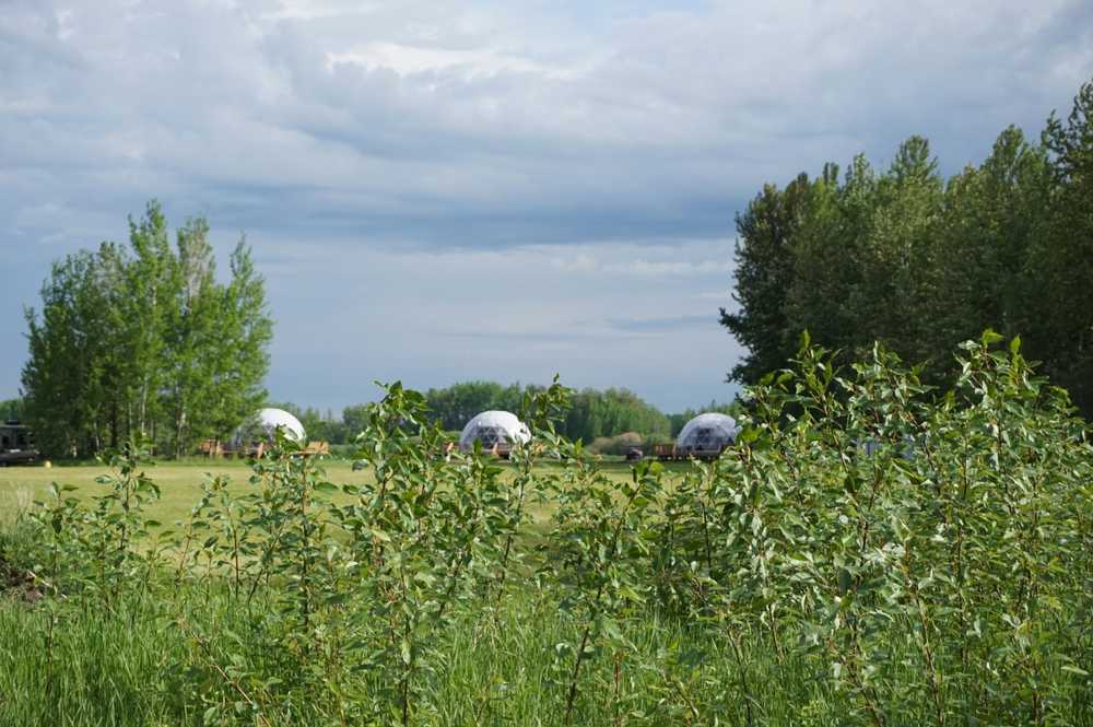 Northern Glamping Escape -  Rutherfordton, AB - Photo 2