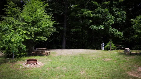 Premium Streamside 30/50 amp Full Hookup RV site — image 2 of 11