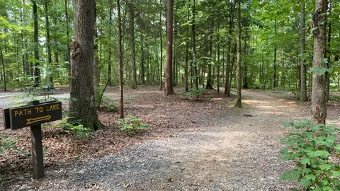 Standard Lake Site — image 4 of 4