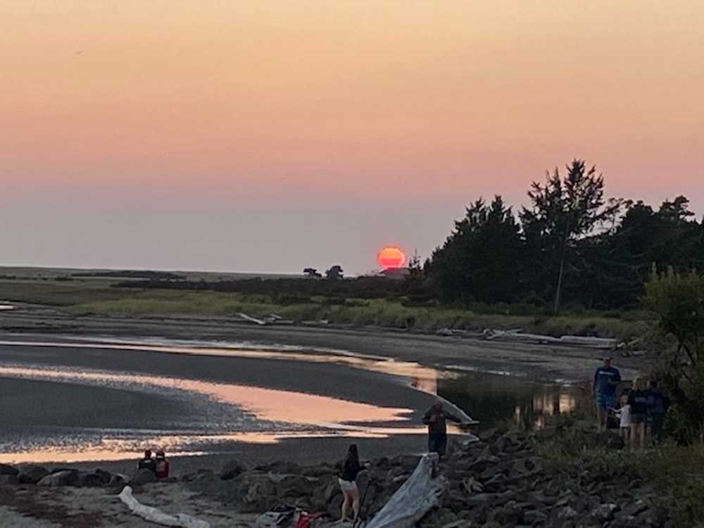 Bayshore RV Park Tokeland, Washington Campspot