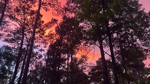 50 AMP Broad River Interior Pull-Thru Campsite — image 1 of 3