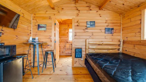 Primitive Mtn View Cabin sleeps 6 — image 2 of 6