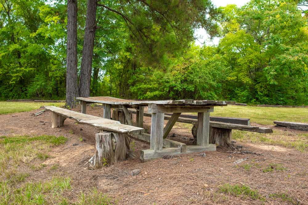 Park Image 5
