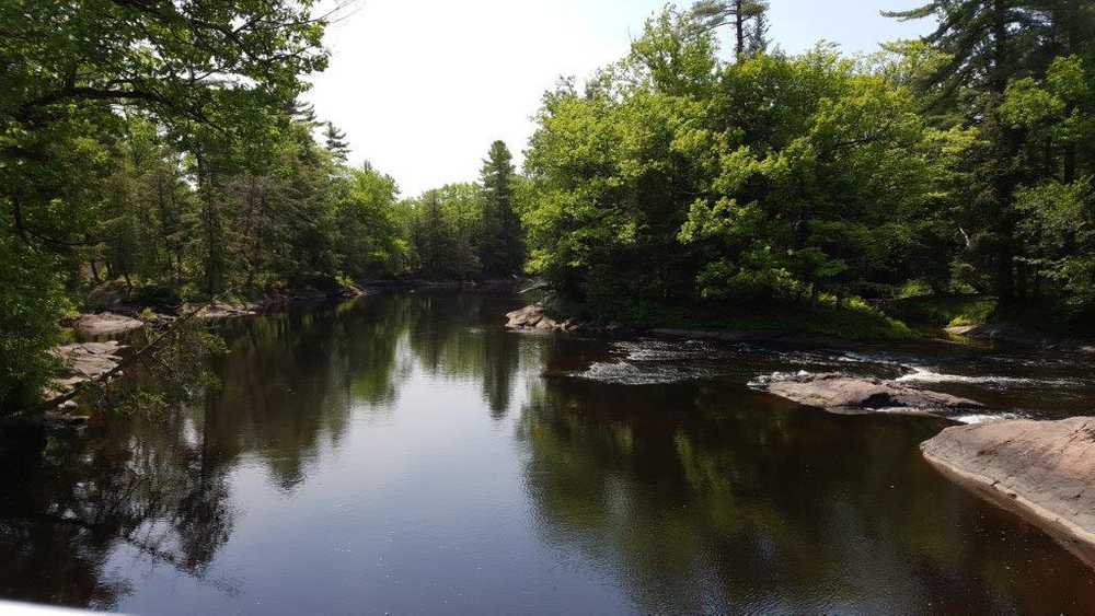 Black River Wilderness Park Washago Ontario Campspot