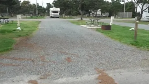 Full Hook-Up 30/50 AMP Pull-Through RV Site — image 6 of 6