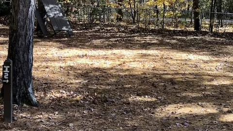 Basic Site — image 2 of 3