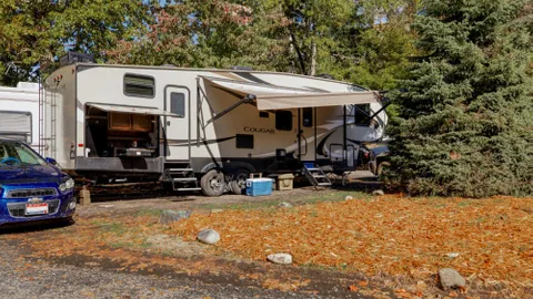 Standard Pull-Through RV Site — image 1 of 1