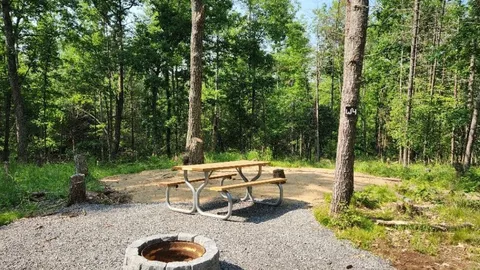 Rustic Campsite - Unserviced — image 2 of 6