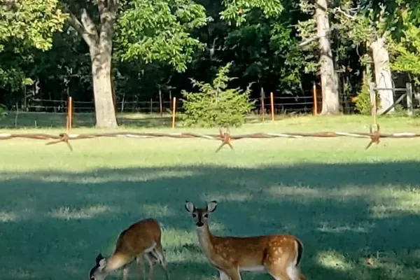 Cobb RV Park – photo 1