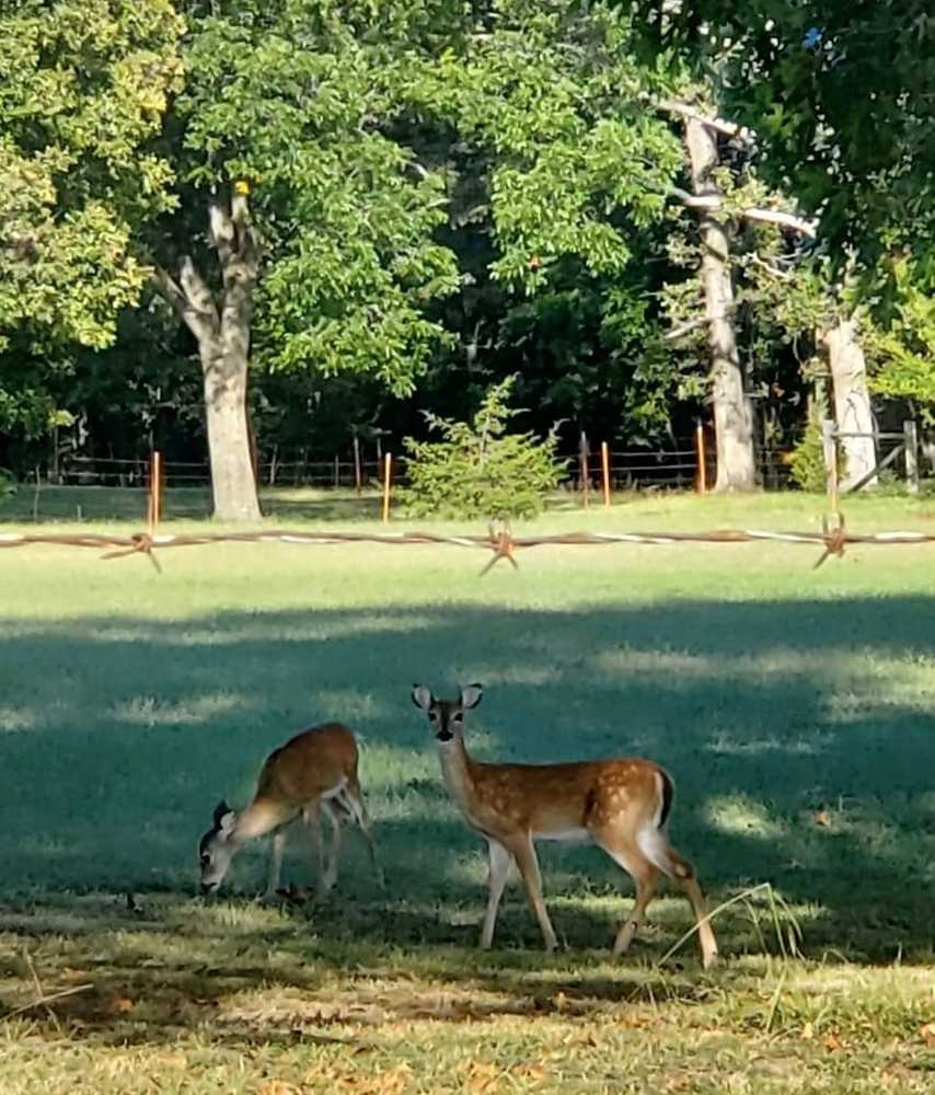 Cobb RV Park, Tahlequah, Oklahoma - Main Photo
