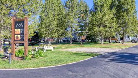 DRY SITE — image 2 of 2