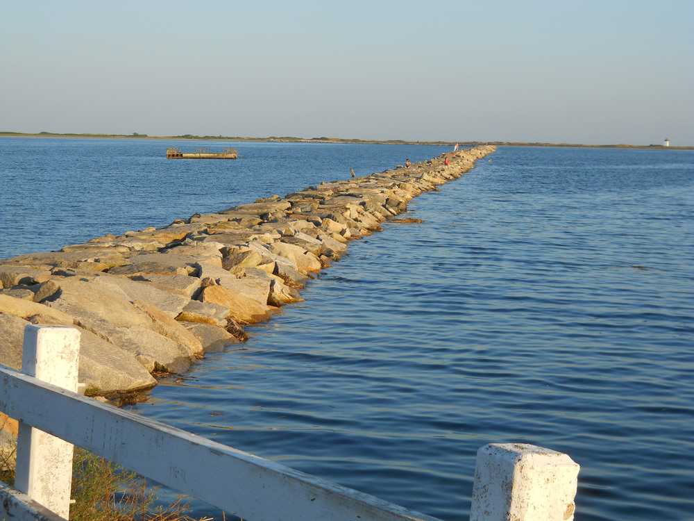Adventure Bound Cape Cod - Photo 2