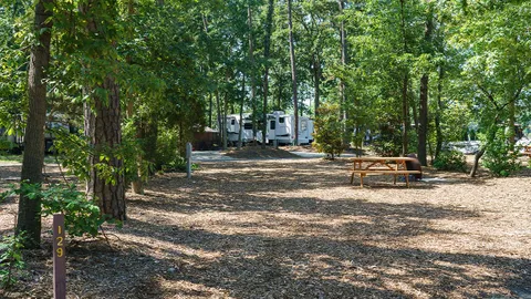 Premium Pull-Thru RV Site — image 1 of 5