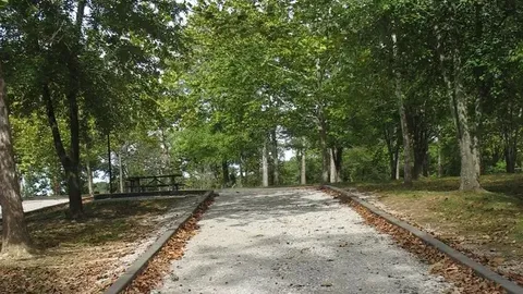 Primitive Waterview RV/Tent Site — image 4 of 4