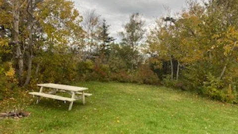 Unserviced Sheltered Tent Site — image 3 of 3