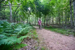 McMullen Memorial County Park – photo 5