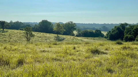 Prairie RV Lot — image 2 of 7